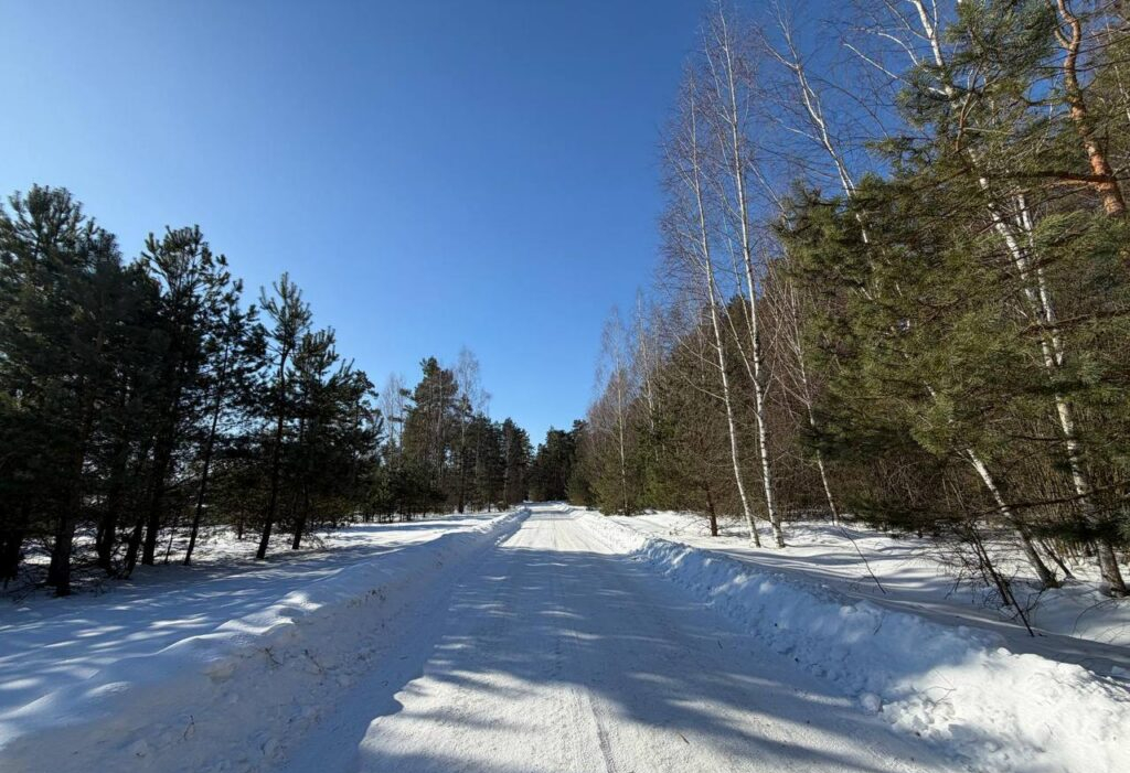 загружено (3).png