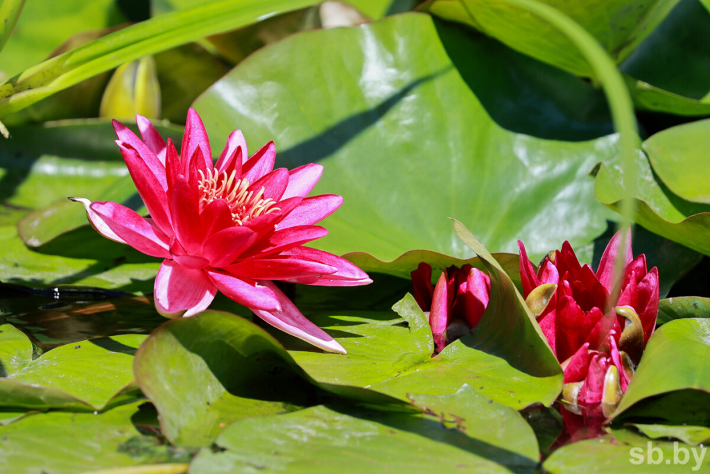 95ca80c278d04df3cc040f428246d50e.jpg