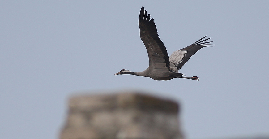 загружено (10).png