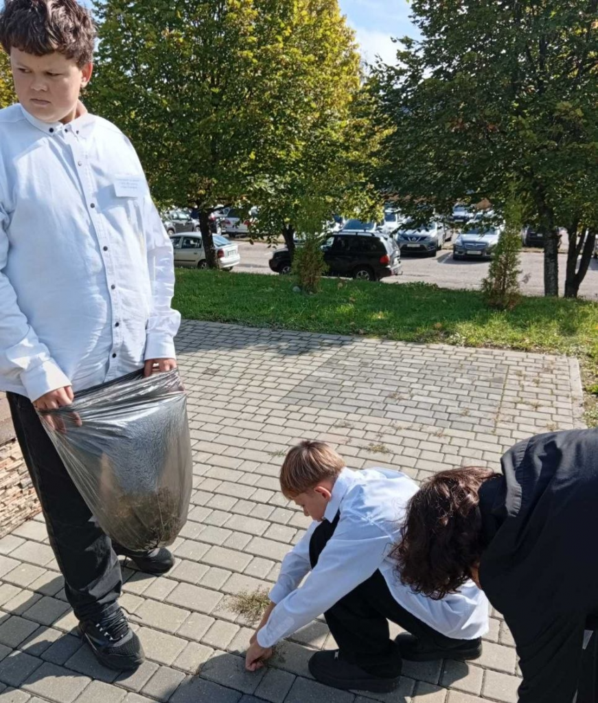 загружено (5).png