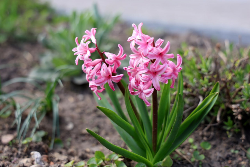 photo_2026-04-23_15-53-17 (3).jpg