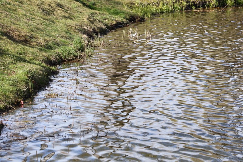 photo_2026-04-27_15-02-18 (3).jpg