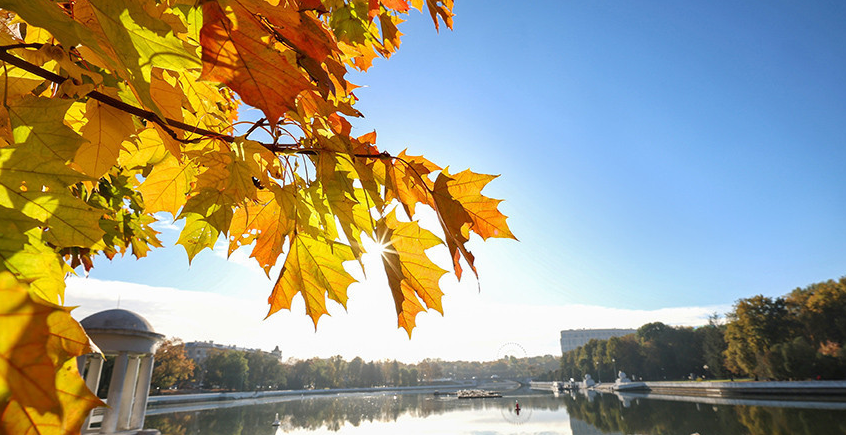 Opera Снимок_2026-09-28_083948_belta.by.png