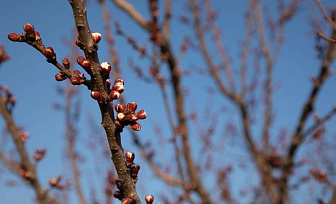 Какой будет погода на Гродненщине в последний день марта?