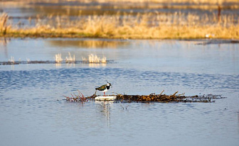 Погода 1 апреля: местами небольшие дожди и до + 17 °С
