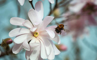 Какой будет погода 2 апреля на Гродненщине