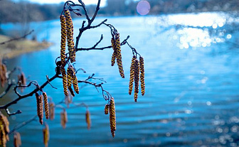 Март 2026 года стал рекордно теплым и аномально сухим в Беларуси