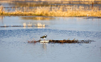 Какая погода ожидает жителей Гродненской области 7 апреля