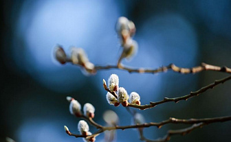 Какой будет погода в Беларуси 11 апреля 