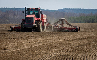  В Беларуси посеяно 28 процентов всех яровых культур