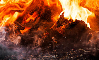 В Беларуси за сутки ликвидировали десять лесных пожаров