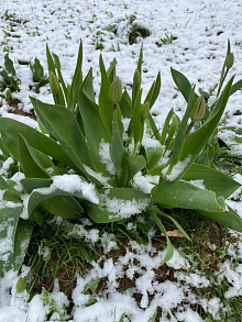 Погода в Беларуси на 26 апреля 