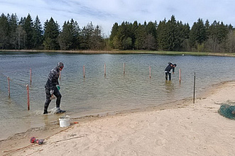Акватория пляжа озера Молодежное обследована водолазами