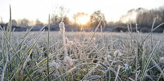 Сильный ветер и заморозки ожидаются 27 апреля в Беларуси