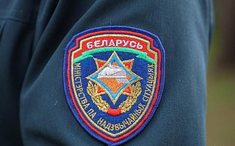 В Беларуси 28 апреля ожидается порывистый ветер — в МЧС предупредили о факторах опасности