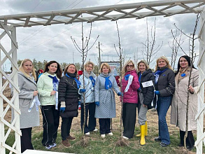 Новогрудчанки внесли свой вклад в создание яблоневой аллеи на Гродненщине
