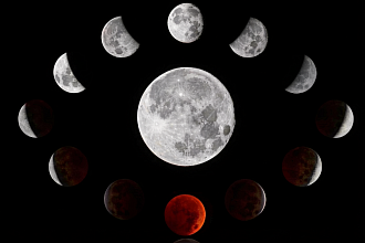 Лунный календарь для садоводов и огородников с 30 апреля по 3 мая 2026 года