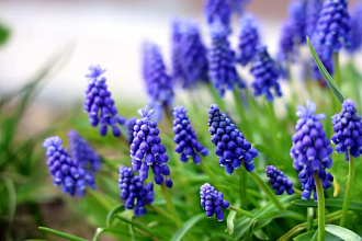 Погода в Беларуси 24 мая: облачно с прояснениями и до +29 °С
