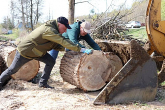 На Гродненщине состоится областной субботник