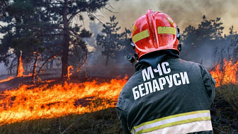 Как не допустить пожара в лесу