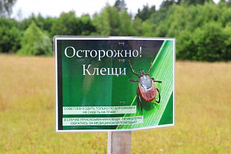 Сезон клещей продолжается: оперативная информация по Новогрудскому району