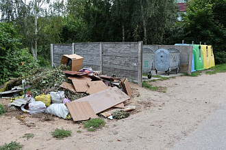 Широкая география равнодушия: свалки на площадках для ТКО в Новогрудке не исчезают  