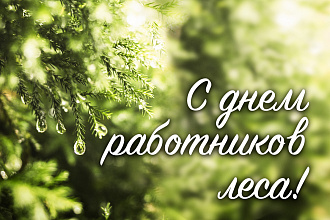 Вiншаванне раённага выканаўчага камітэта і раённага Савета дэпутатаў з Днем работнiкаў лесу