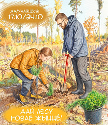 Дай лесу новае жыццё! На Новогрудчине стартует республиканская акция по восстановлению лесов