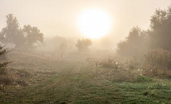 Какой будет погода в Гродненской области 16 октября