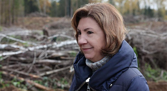 Наталья Кочанова: лесовосстановление — инвестиция в здоровье граждан и экономику страны